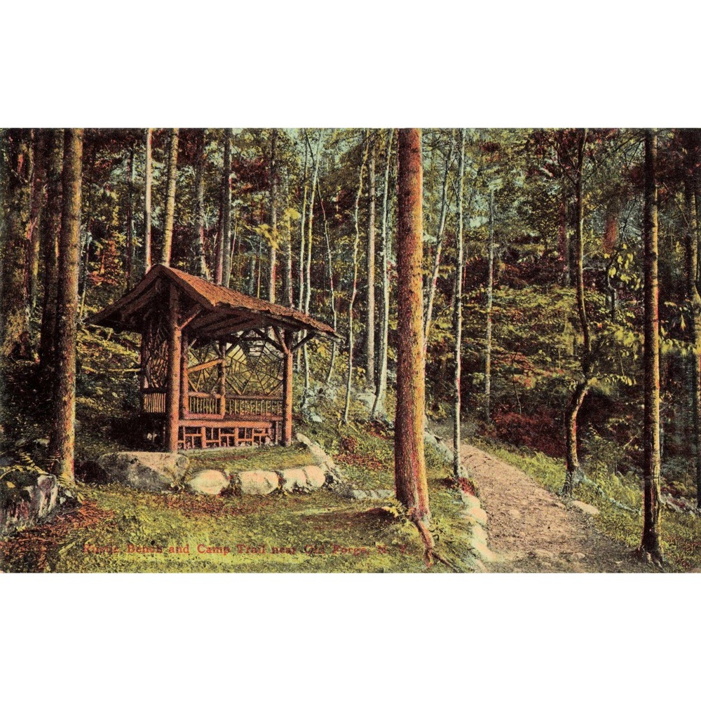 Old Forge New York NY Adirondacks Rustic Bench Camp Trail Postcard Americhrome